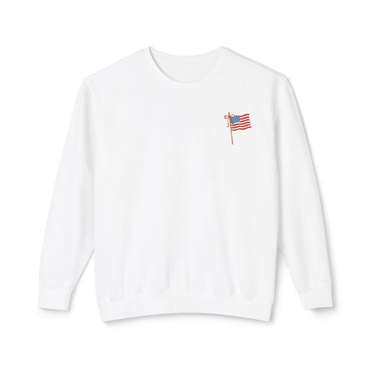 4th of July-Racoon sweatshirt-unisex